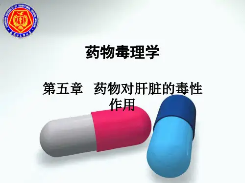 第五章   药物对肝脏的毒性作用