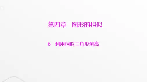 北师大版九年级数学上册第四章图形的相似利用相似三角形测高课件