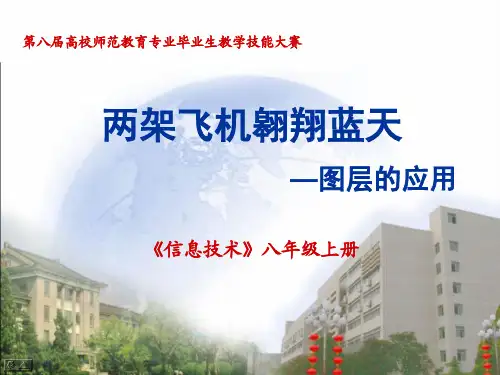 图层(1)