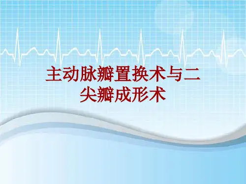 手术讲解模板：主动脉瓣置换术与二尖瓣成形术