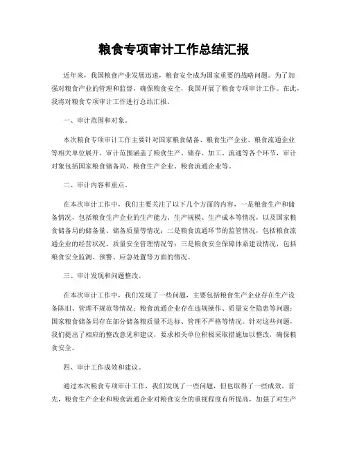 粮食专项审计工作总结汇报