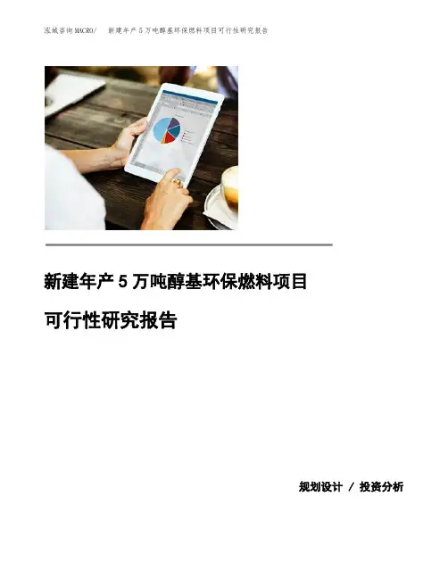 (模板)新建年产5万吨醇基环保燃料项目可行性研究报告
