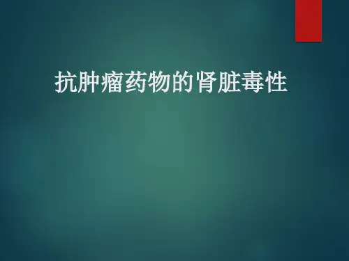 抗肿瘤药物的肾脏毒性