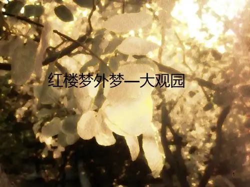 大观园介绍ppt课件