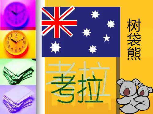 树袋熊(又名考拉)是澳大利亚奇特的珍贵原始树栖动物PPT资料优秀版
