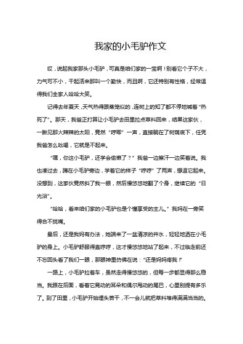我家的小毛驴作文