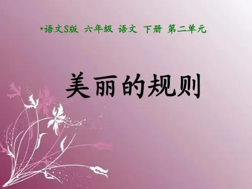 9《美丽的规则》