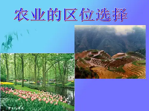 农业的区位选择公开课省名师优质课赛课获奖课件市赛课一等奖课件