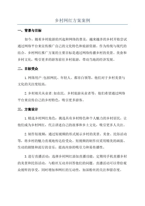乡村网红方案案例