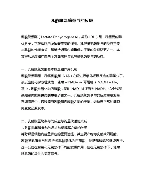乳酸脱氢酶参与的反应
