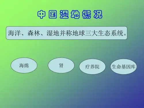 中国湿地概述