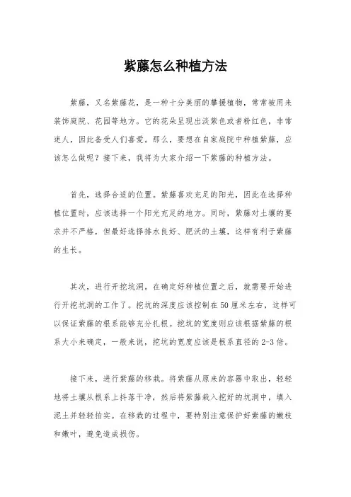 紫藤怎么种植方法