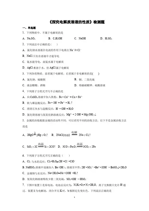 2020-2021学年高一第二学期化学沪科版《探究电解质溶液的性质》检测题含答案