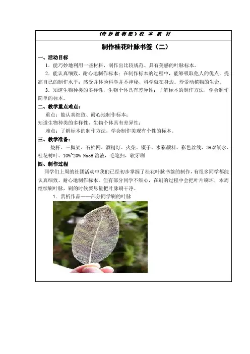【校本教案】制作桂花叶脉书签(二)