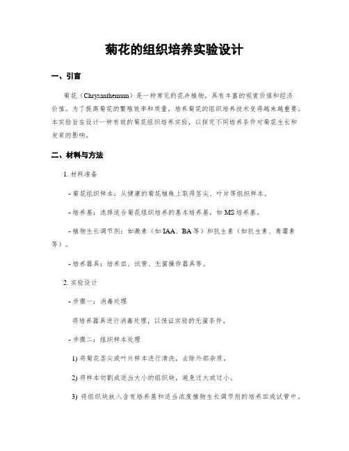 菊花的组织培养实验设计
