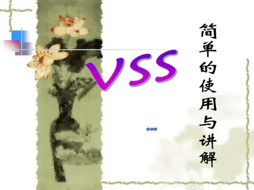 VSS使用讲解