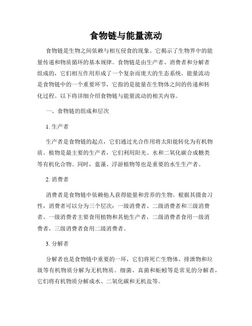 食物链与能量流动