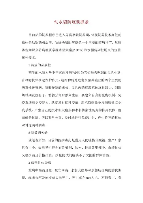 幼水貂防疫要抓紧