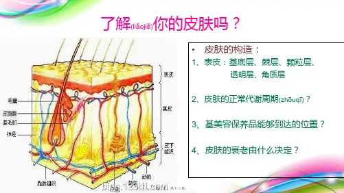202X年微针美疗16