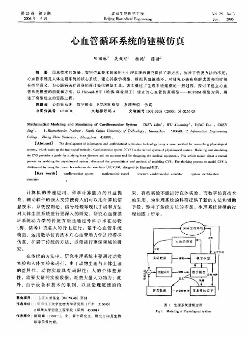 心血管循环系统的建模仿真
