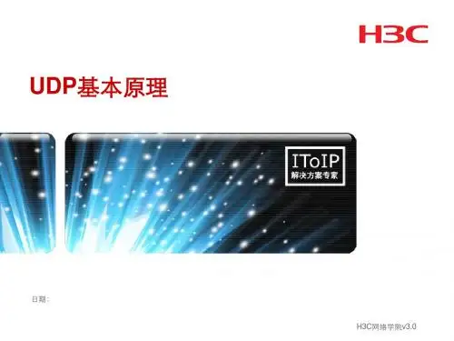 第二十四章 UDP协议