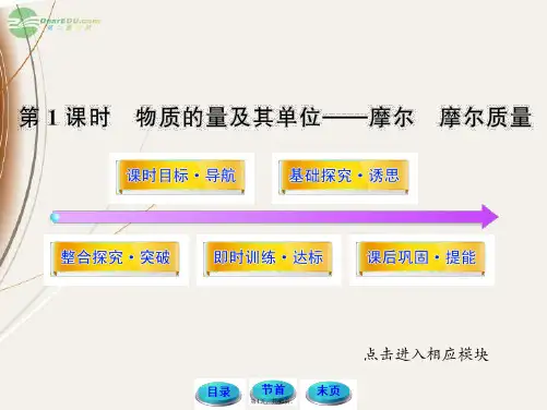 2013高中化学-1.3.1物质的量及其单位——摩尔-摩尔质量课件-鲁科版必修1