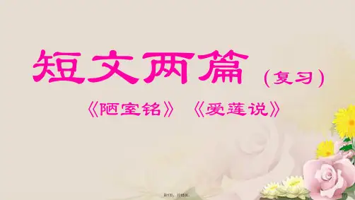 短文两篇复习课(共15张PPT)