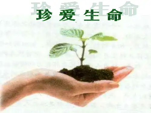 心理健康教育《珍爱生命》ppt课件