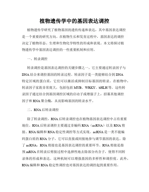 植物遗传学中的基因表达调控