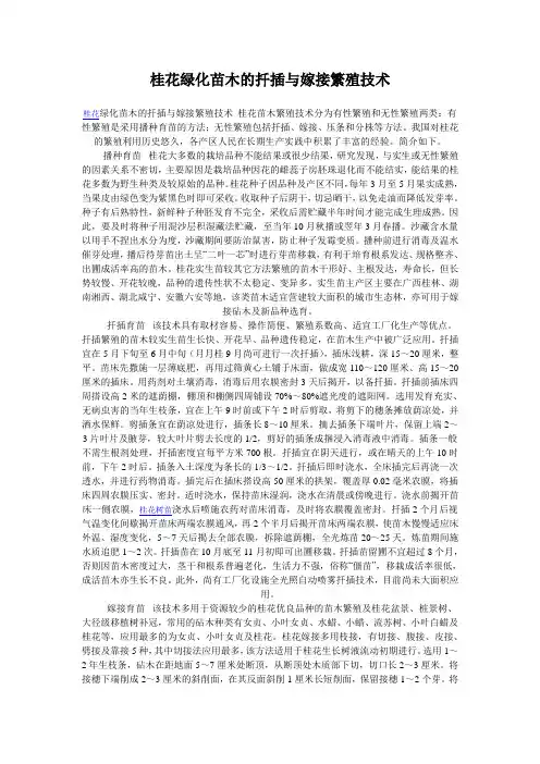 桂花绿化苗木的扦插与嫁接繁殖技术.doc2