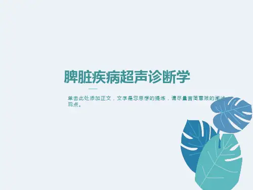 脾脏疾病超声诊断