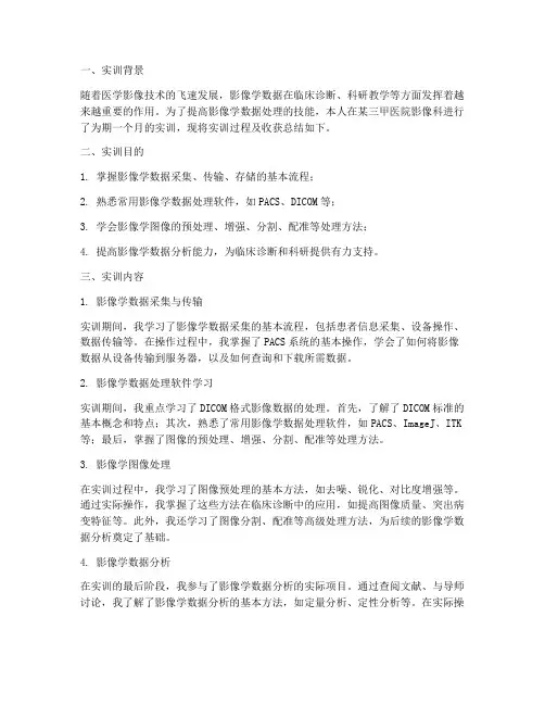 影像学数据处理实训报告