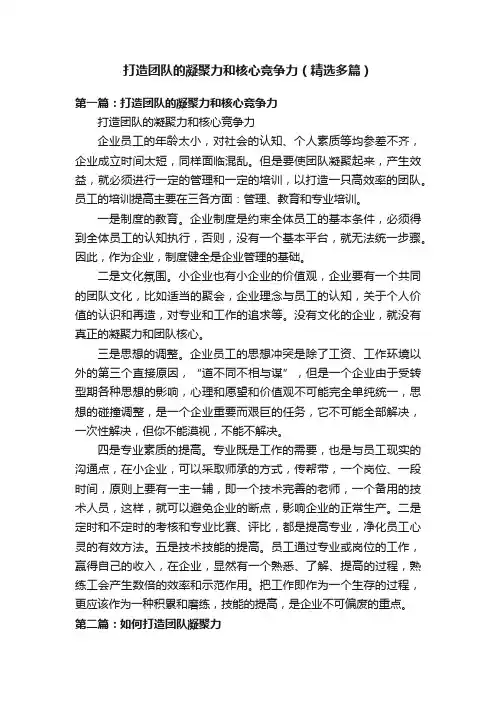 打造团队的凝聚力和核心竞争力（精选多篇）