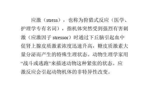 应激反应全解读