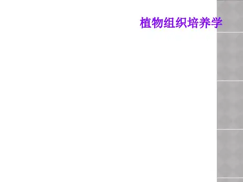 植物组织培养学
