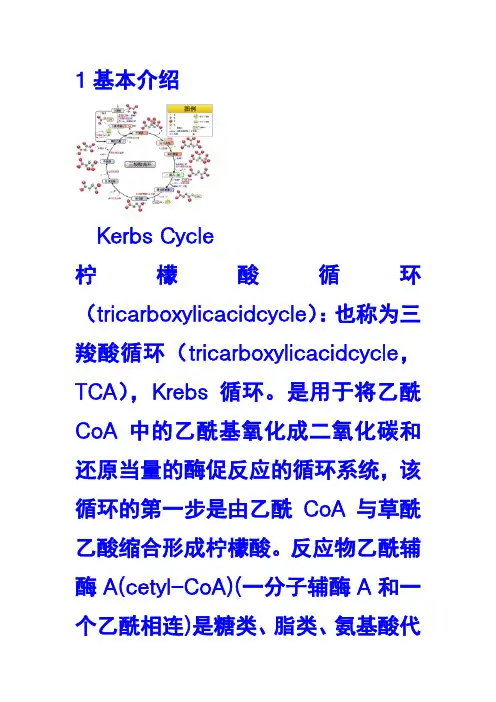 三羧酸循环