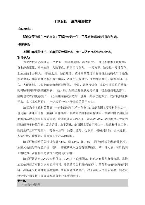 油菜栽培技术课件资料