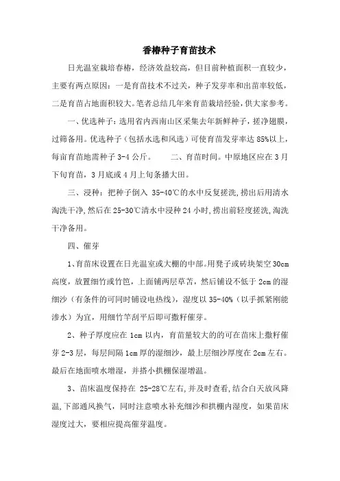 香椿种子育苗技术