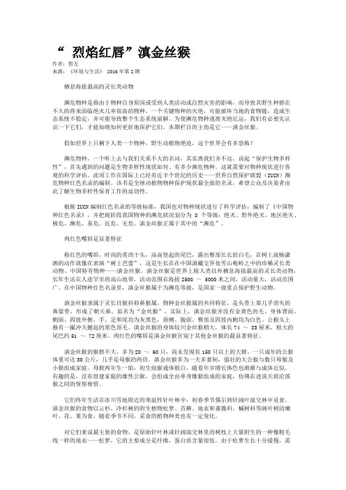 “ 烈焰红唇”滇金丝猴