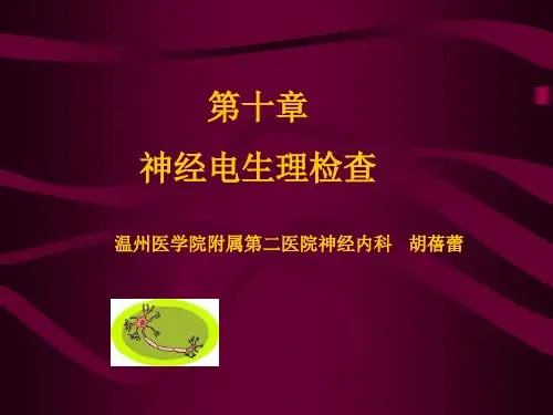 2010年第十章神经电生理检查2