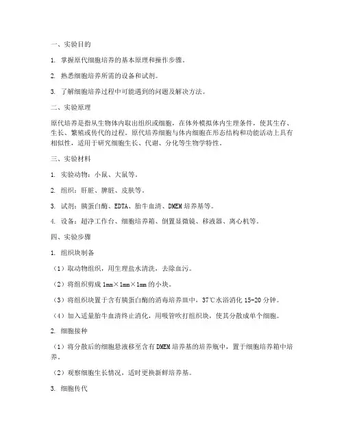 原代培养_实验报告