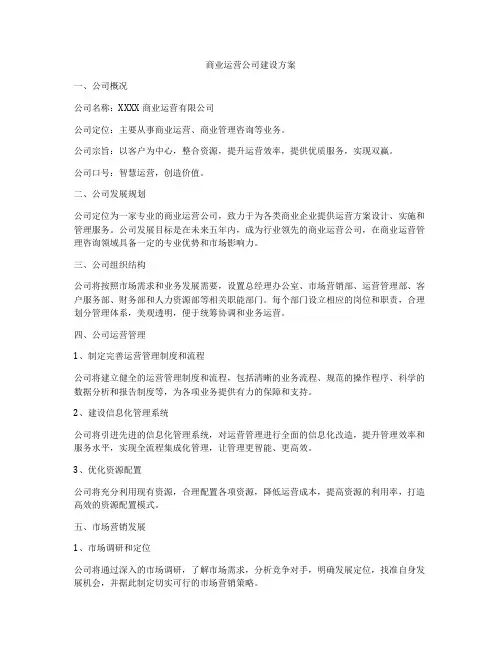 商业运营公司建设方案