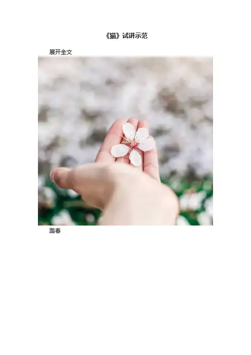《猫》试讲示范