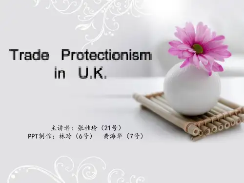 英国贸易保护主义