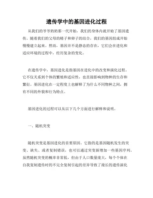 遗传学中的基因进化过程
