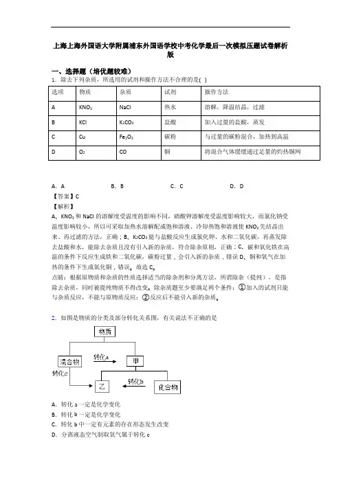 上海上海外国语大学附属浦东外国语学校中考化学最后一次模拟压题试卷解析版