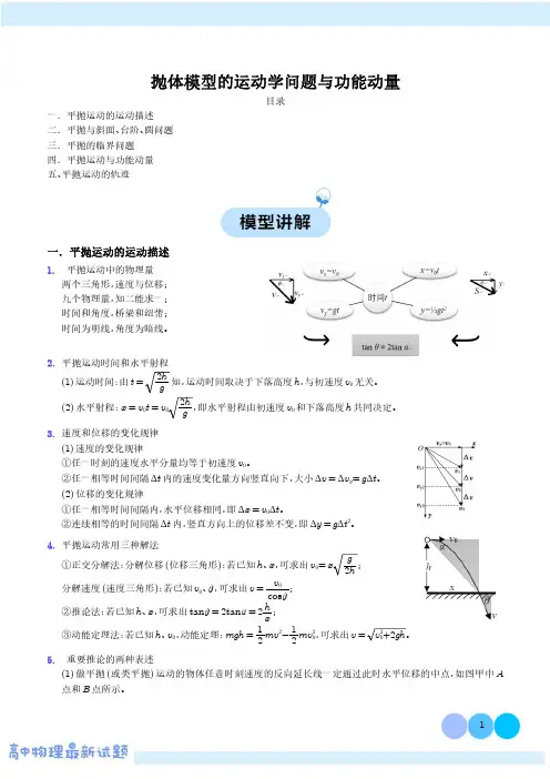抛体模型的运动学问题与功能动量(解析版)