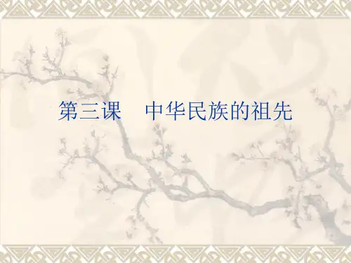 中华民族的祖先.ppt