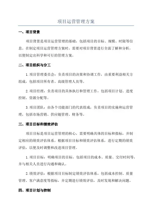 项目运营管理方案