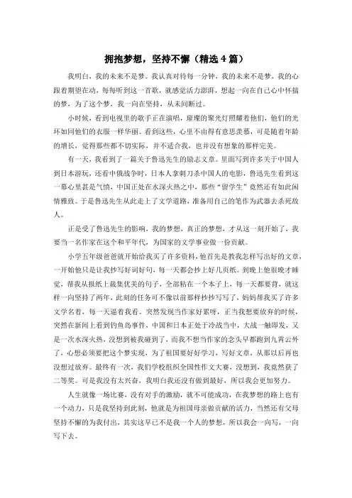 拥抱梦想,坚持不懈(精选4篇)